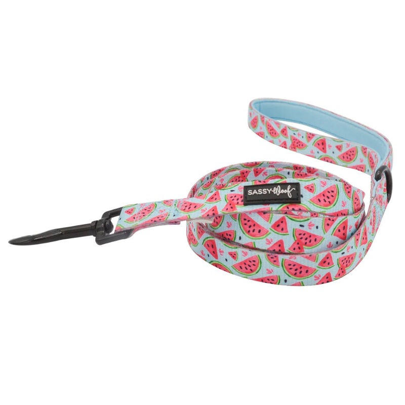 Sassy Woof DOG LEASH – OH MY MELONS