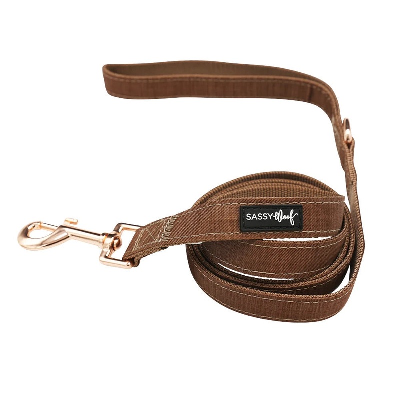 Sassy Woof DOG LEASH – TEDDY