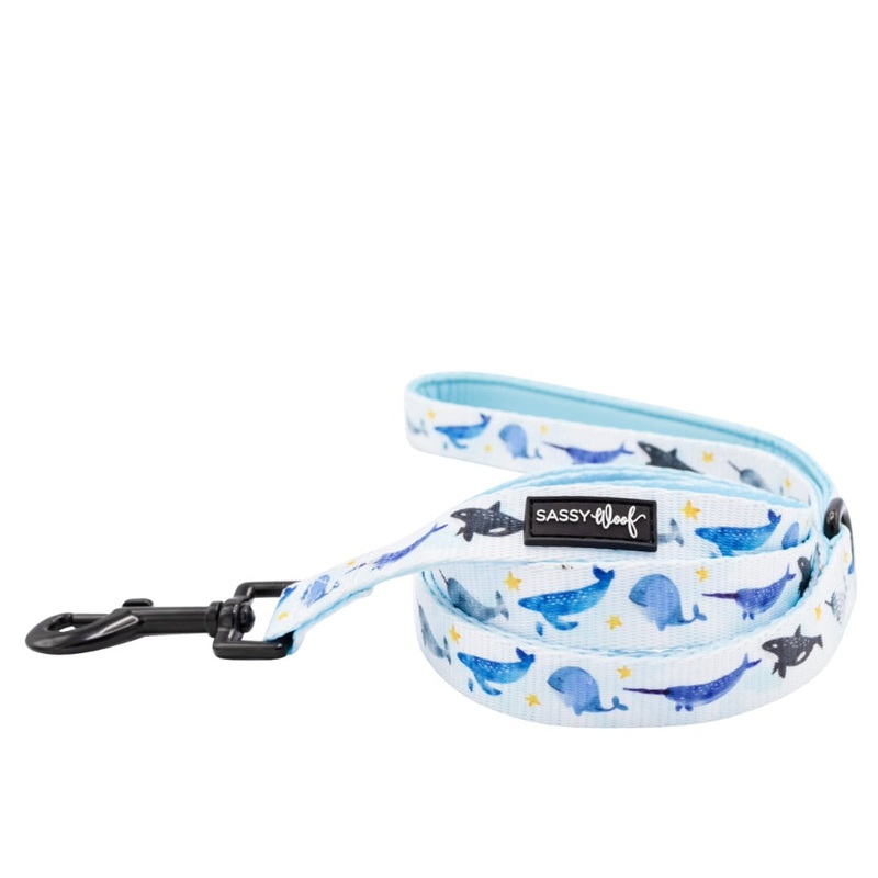 Sassy Woof Leash – Whale, Hello There