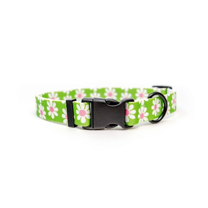 Yellow Dog Design Green Daisy Collection Collar