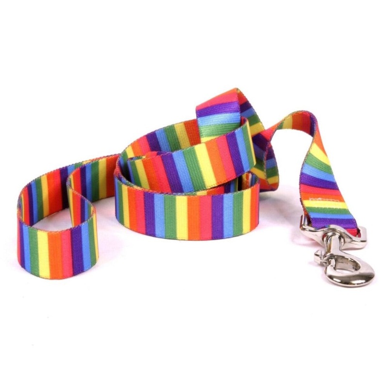 Yellow Dog Design Rainbow Stripes Leash – 5ft