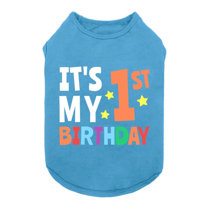 Fitwarm IT’S MY FIRST BIRTHDAY SHIRT- Sky Blue