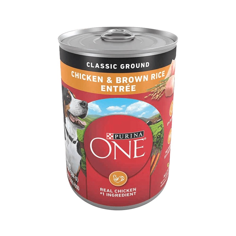 Purina ONE Chicken & Brown Rice Entre Classic Ground Wet Dog Food – 13oz