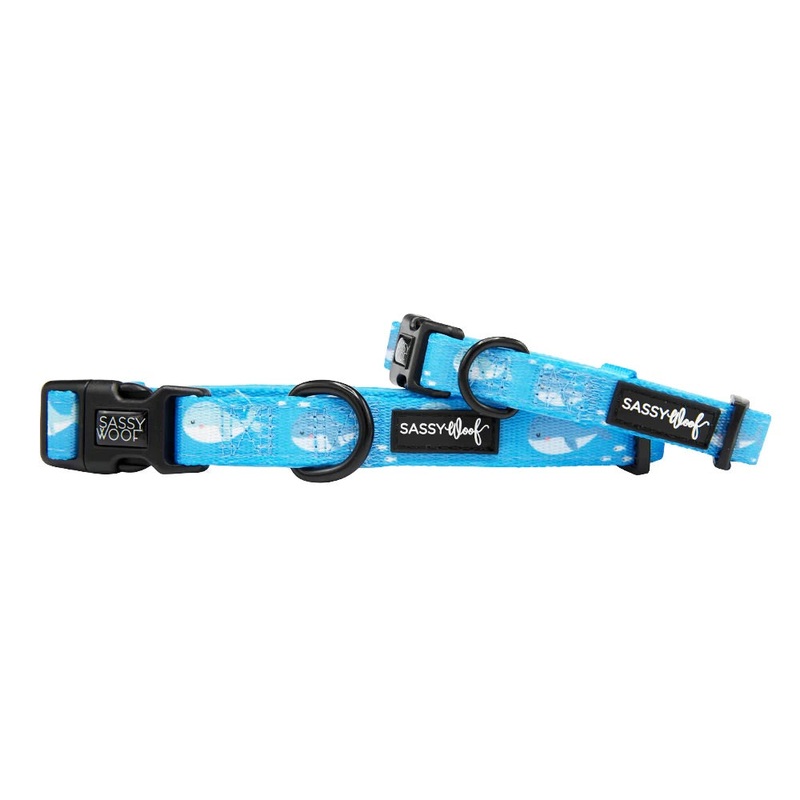 Sassy Woof DOG COLLAR – MIGHT AS WHALE