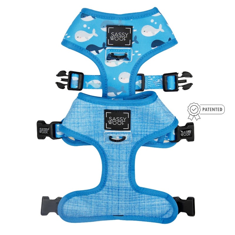 Sassy Woof REVERSIBLE HARNESS – MIGHT AS WHALE