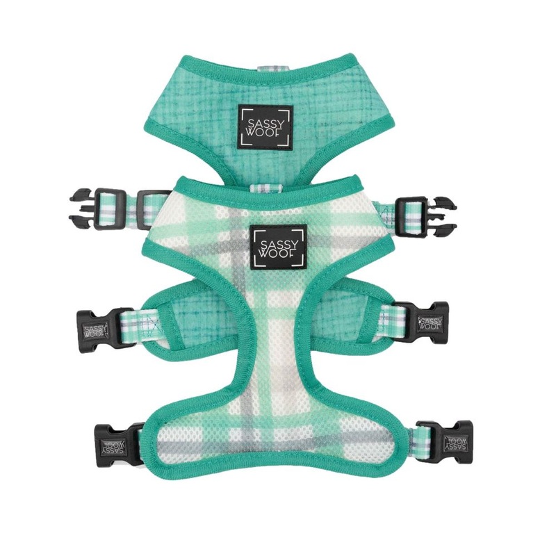 Sassy Woof REVERSIBLE HARNESS – WAG YOUR TEAL
