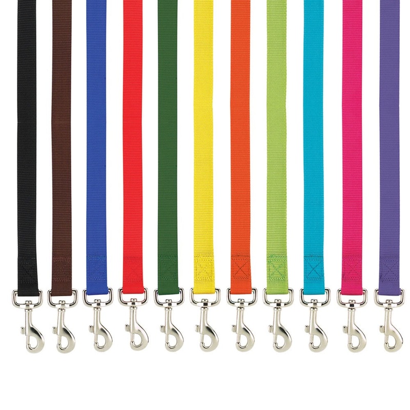 Casual Canine Nylon Leads|Bluebird|Jet Black|Dark Green|Dark Blue|Red|Purple|Raspberry Sorbet