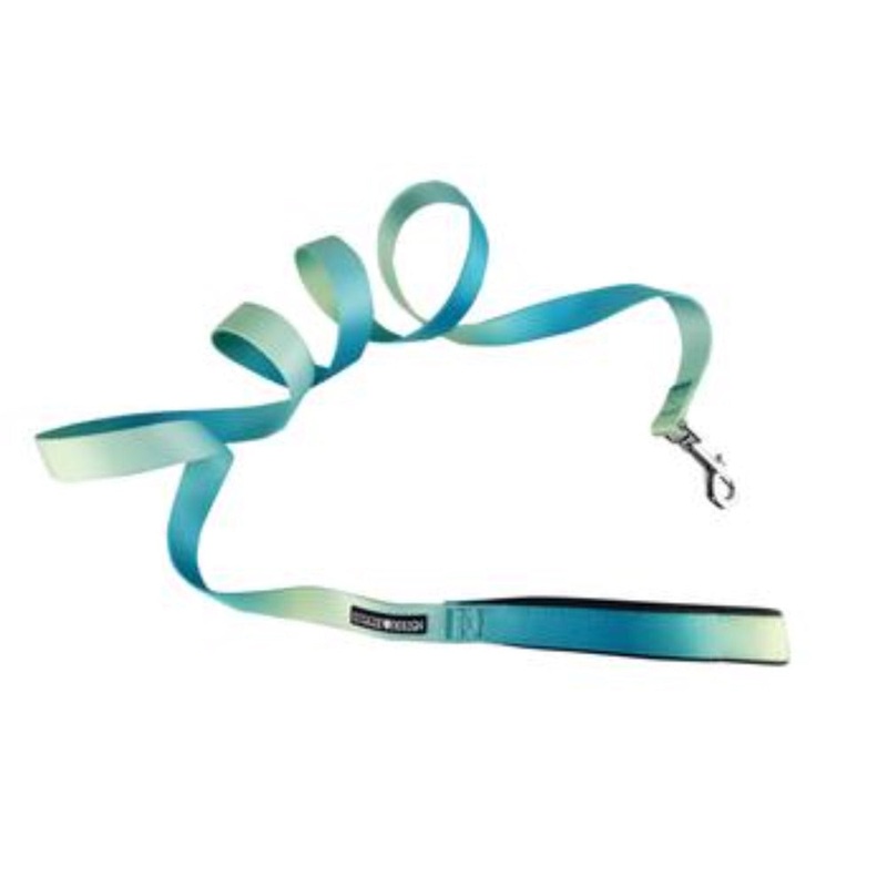 Doggie Design American River Ombre Leash – Aruba Blue