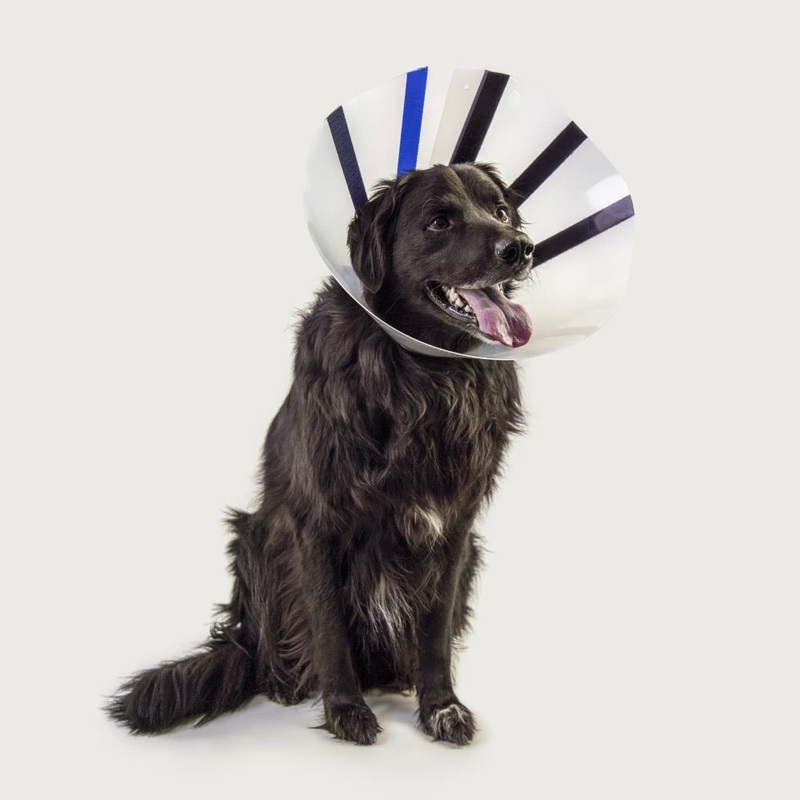 KVP EZ Clear Collar|6.5-7.75|7.5-10|10-13|13-16|16-21