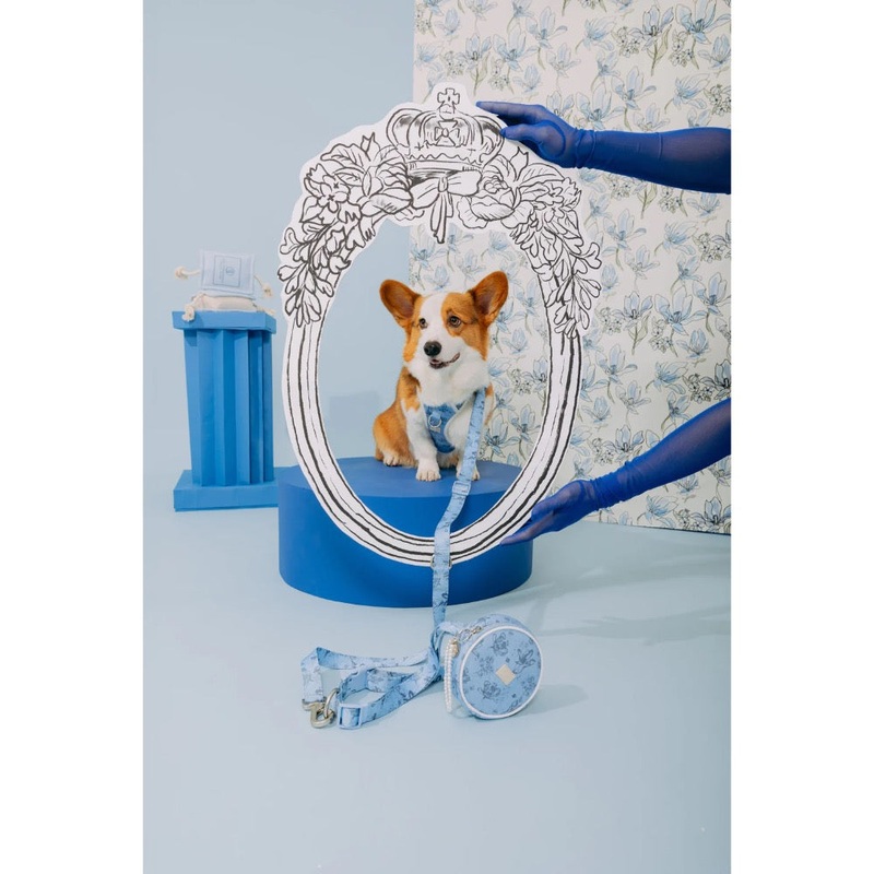 Maxbone Bridgerton x Maxbone Leash & Pouch Set
