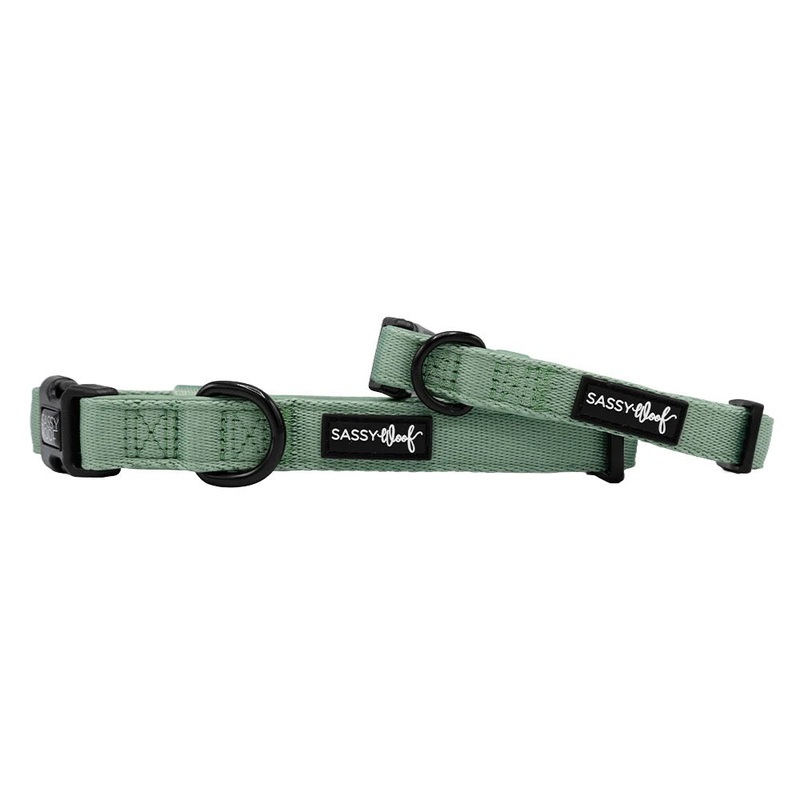 Sassy Woof COLLAR – SAGE|X-Small|Small|Medium|Large