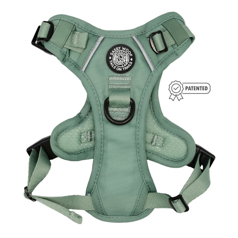 Sassy Woof DOG STEP-IN HARNESS – SAGE