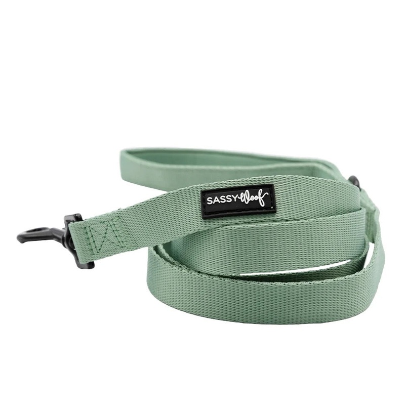 Sassy Woof LEASH – SAGE