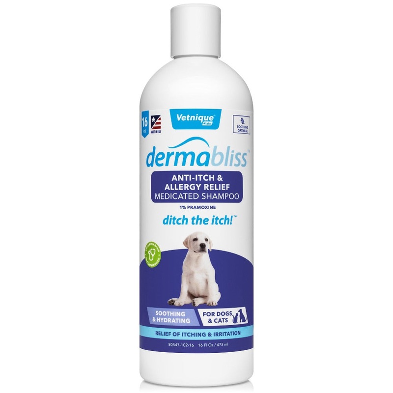 Vetnique DERMABLISS ANTI-ITCH & ALLERGY RELIEF SHAMPOO – 16 OZ