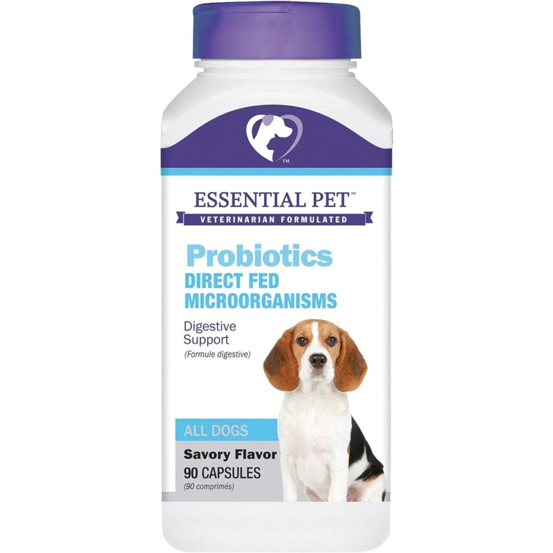 21st Century Essential Pet Probiotics Digestive Support Capsule Supplement for Dogs – 90 count