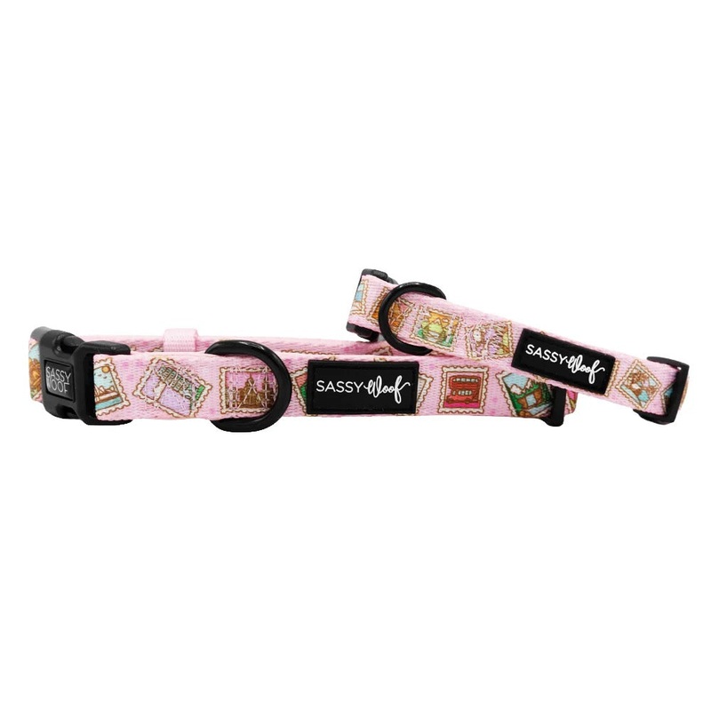 Sassy Woof Dog Collar – Out of Office