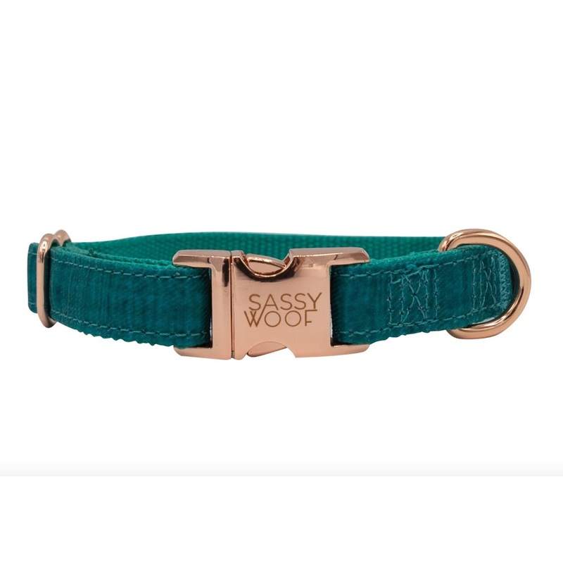 Sassy Woof COLLAR – NAPA|X-Small|Small|Medium|Large