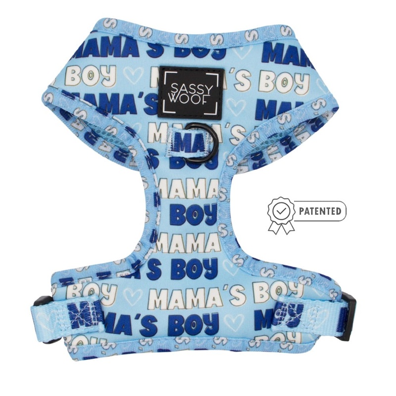 Sassy Woof DOG ADJUSTABLE HARNESS – Blue & White MAMA’S BOY