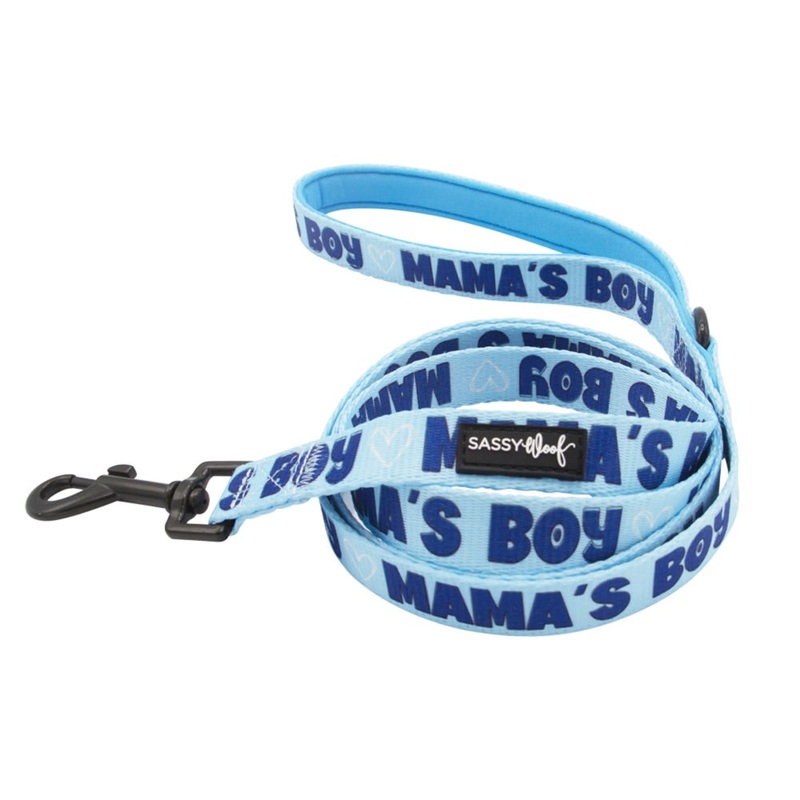 Sassy Woof DOG LEASH -Light/Dark Blue MAMA’S BOY