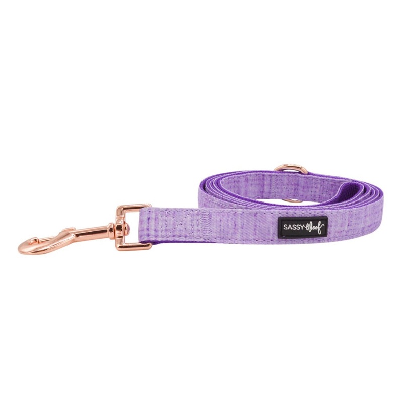 Sassy Woof Leash – Aurora