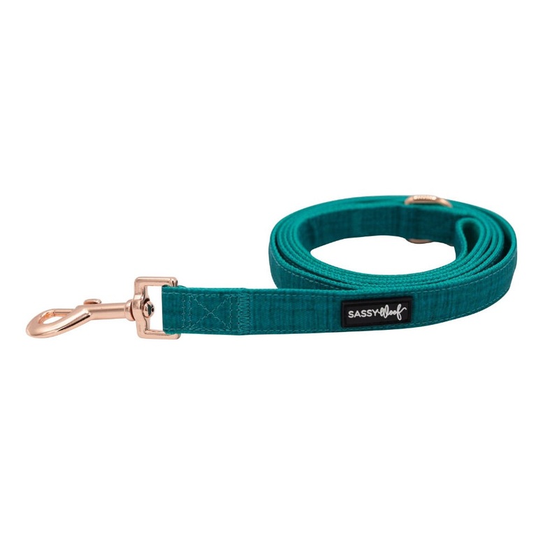 Sassy Woof LEASH – NAPA