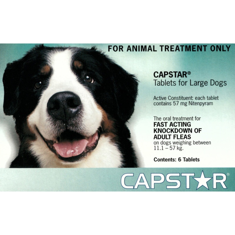 Capstar Green for Dogs over 11kgs