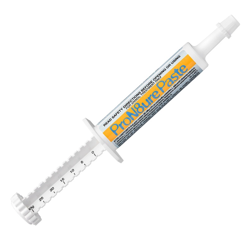 Pron8ure Probiotic Paste|30g|30g