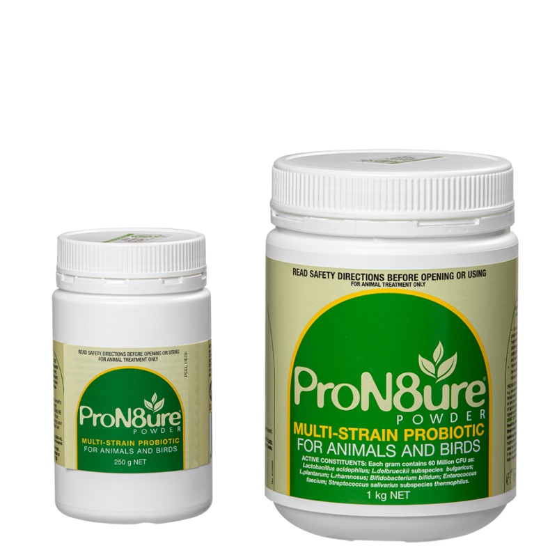 ProN8ure Probiotic Powder|250g|1kg