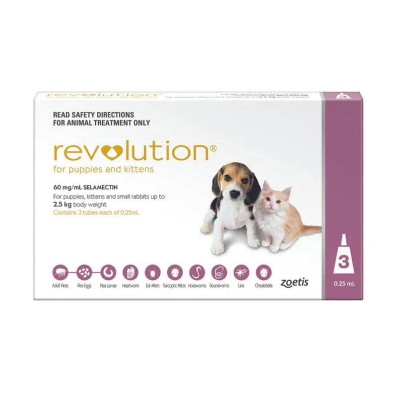 Revolution Purple for Cats and Kittens up to 2.5kgs