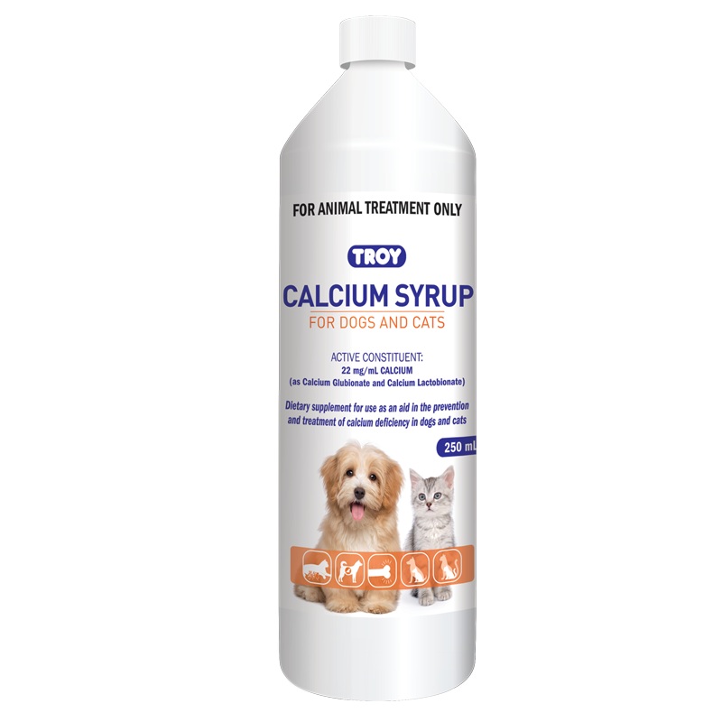 Troy Calcium Syrup|250mL|1L|250mL|1L