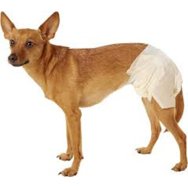 DogIt Disposable Diapers|Small|Medium|Large|Extra Large