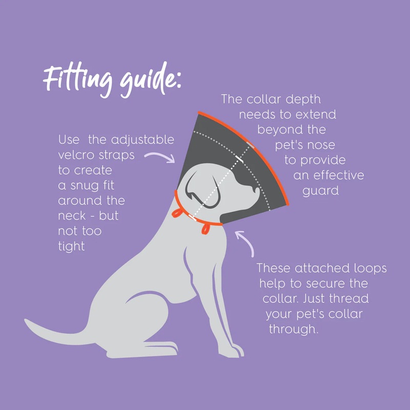 Kazoo Comfy Recovery Collar|XS|S|M|L|XL|XXL