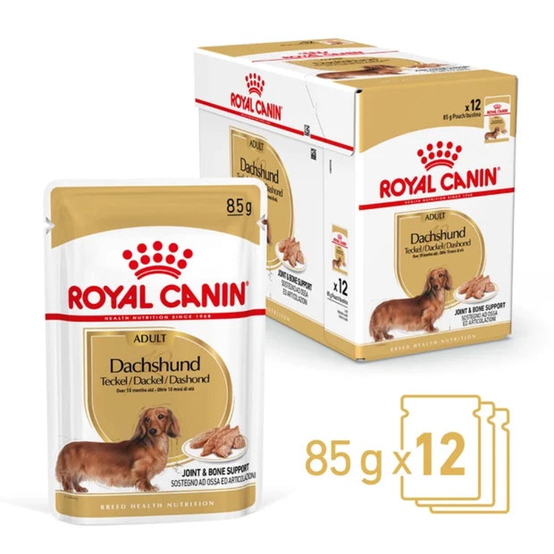 Royal Canin Dachshund 12x85g|12x85g