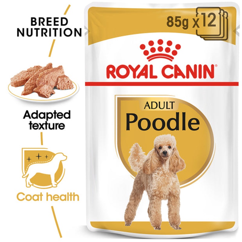 Royal Canin Poodle 12x85g|12x85g