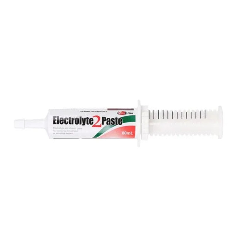 VALUEPLUS ELECTROLYTE 2 PASTE HORSE 60ML