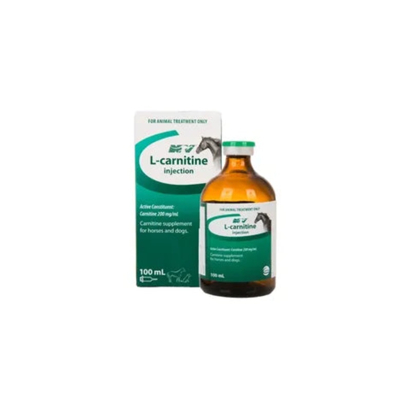 CEVA L-CARNITINE 100ML