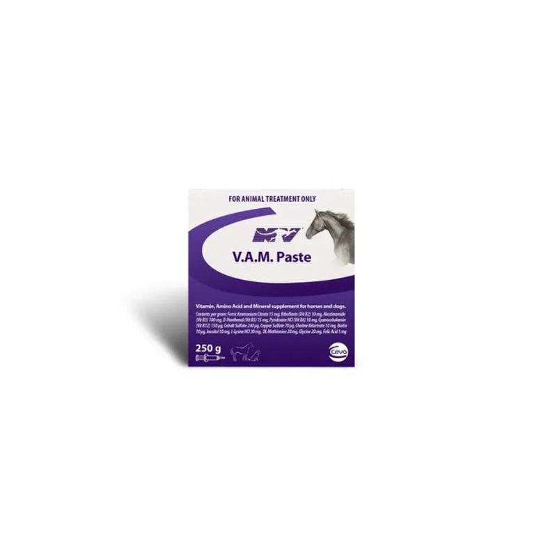 CEVA VAM PASTE POT 250G