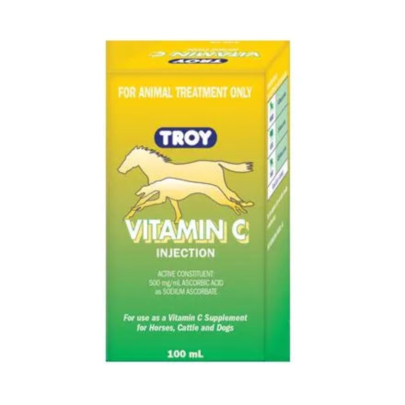 TROY VITAMIN C INJECTION 100ML