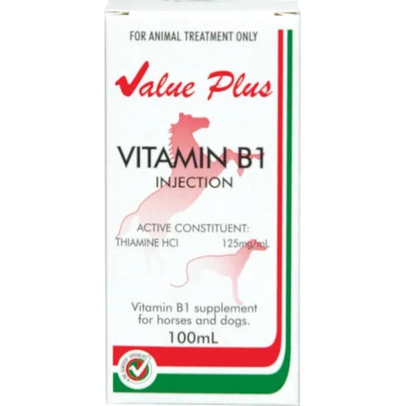 VALUEPLUS VITAMIN B1 INJECTION 100ML