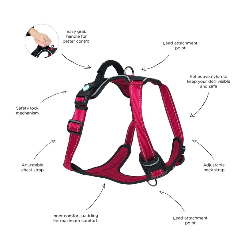 Huskimo Ulitmate Harness|Extra Small|Small|Medium|Large|Extra Large|Red (Uluru)|Blue (Bells Beach)|Black (Dark Sky)|Purple (Aurora)
