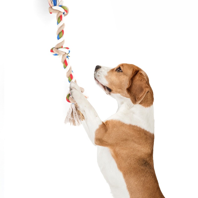 BarkButler x Fofos Flossy 3 Knots Rope Dog Toy – For Small-Medium