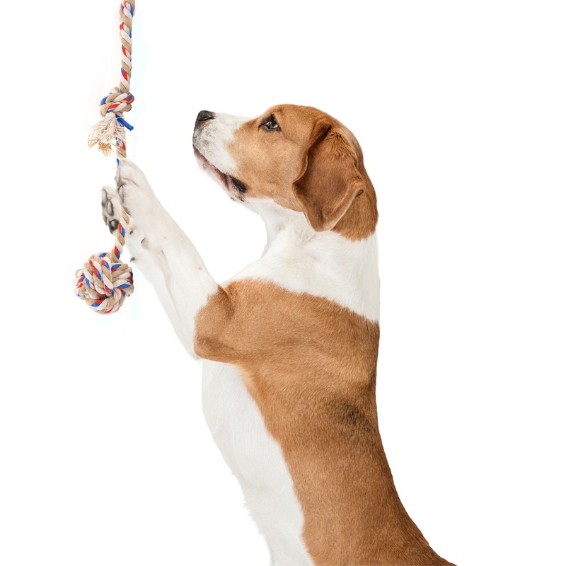 BarkButler x FOFOS Flossy Rope & Ball Dog Toy – for All Breeds (10-30kg)