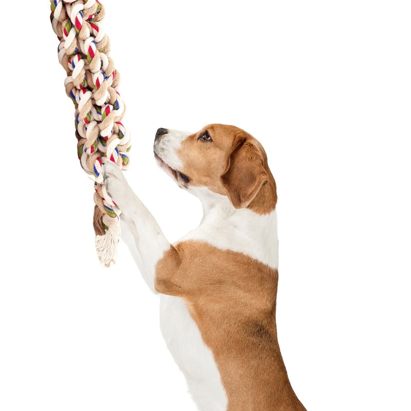 BarkButler x FOFOS Flossy Rope & Ball Dog Toy – For All Breeds