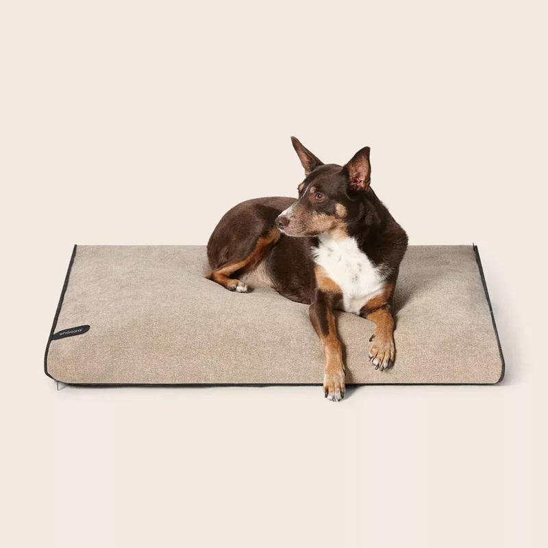 SNOOZA MODERN DAYBED RICE|Med/Lrg|Lrg/Xlrg
