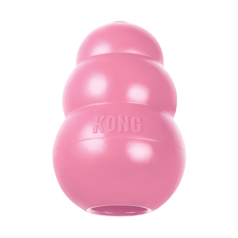 Kong Puppy Toy Wobbler  Best Chew & Teething Toy for Puppy