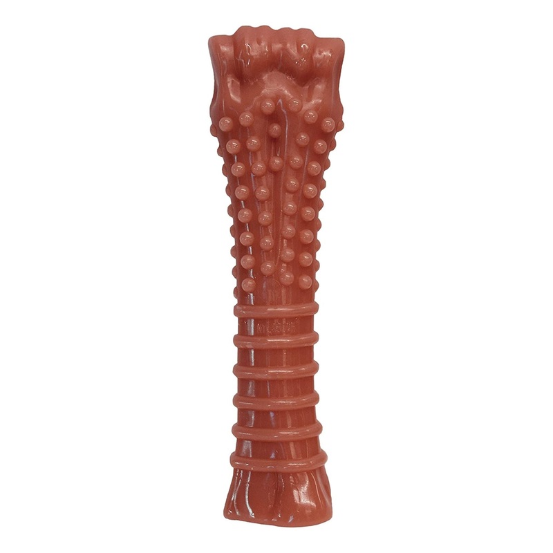 Nylabone Power Chew Textured Bone Toy