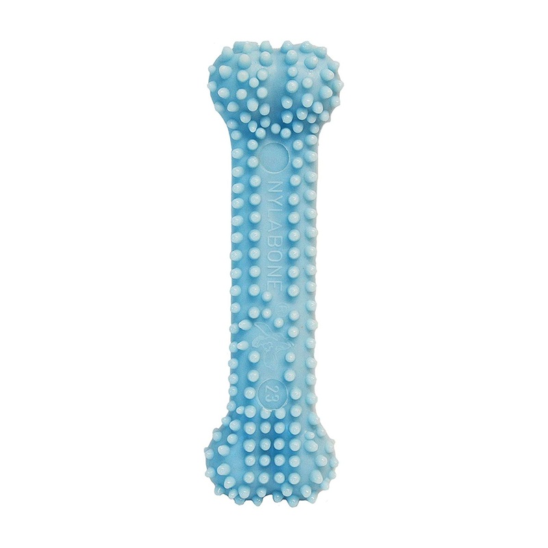 Nylabone Puppy Chew Blue Dental Bone Toy