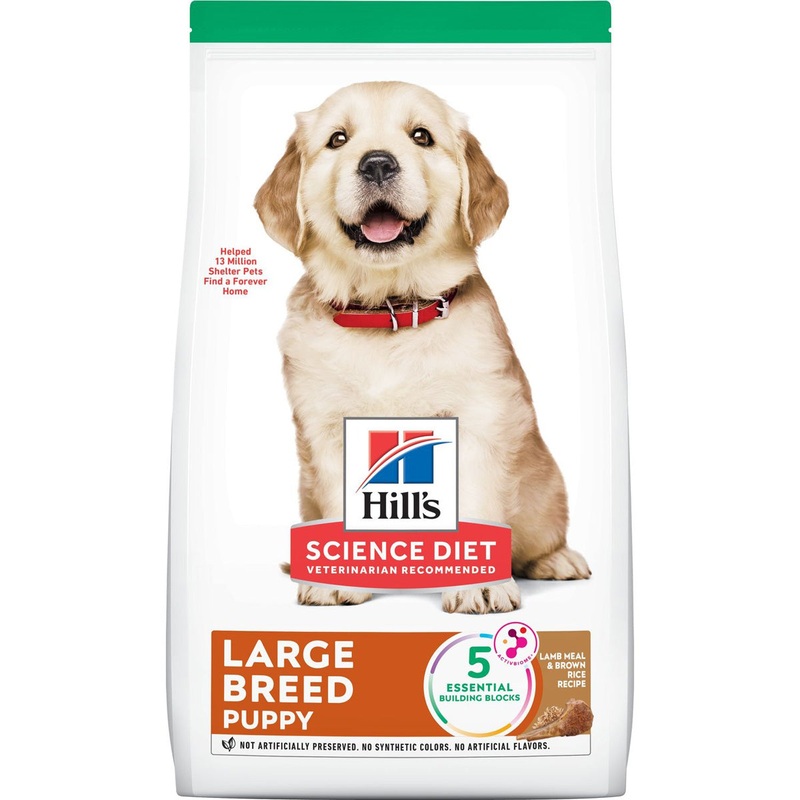 Science Diet Puppy Large Breed Lamb Meal & Brown Rice Dry Dog Food 30lb