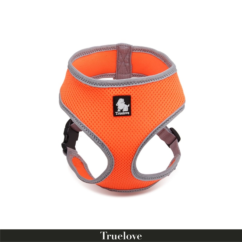 TRUELOVE Cat & Small Dog Harness Safe & Comfortable – Orange