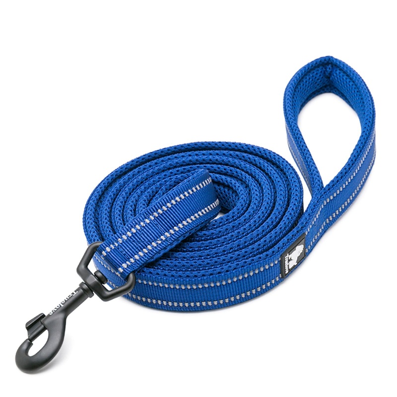 Truelove Classic Leash for Dogs  Durable & Stylish Walking Essential – Blue